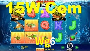 Premium Interface Wg6