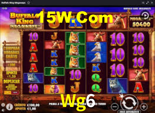 Wg6